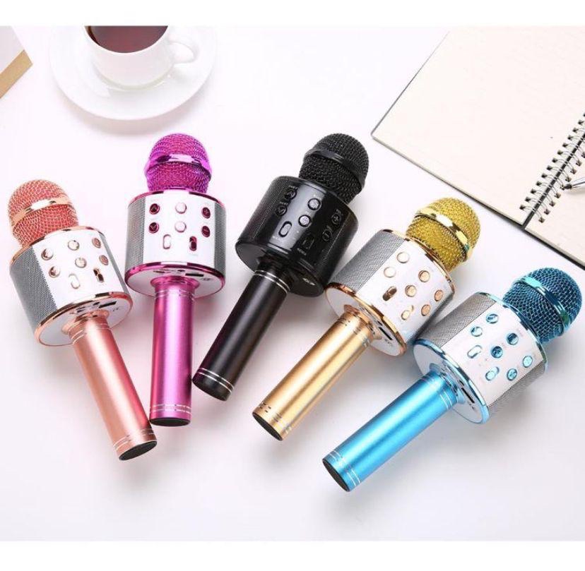 Microfono Karaoke Altoparlante Wireless